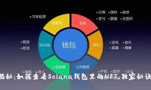专家揭秘：如何查看Solana钱包里的NFT，独家秘诀分享！