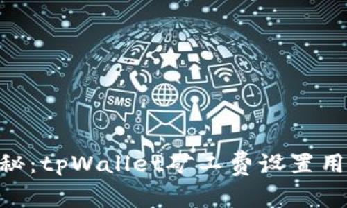 专家独家揭秘：tpWallet矿工费设置用USDT的秘诀