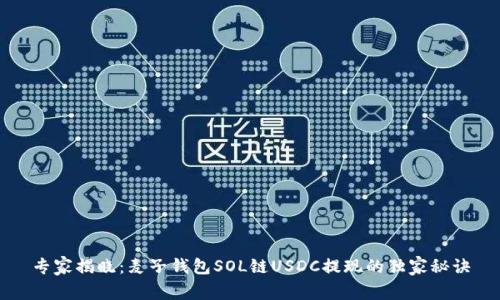 专家揭晓：麦子钱包SOL链USDC提现的独家秘诀