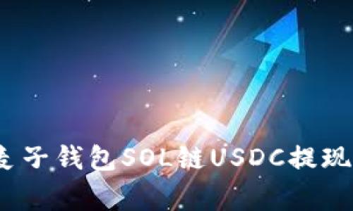 专家揭晓：麦子钱包SOL链USDC提现的独家秘诀