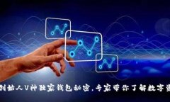 揭秘以太坊创始人V神独家