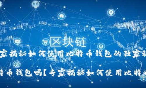 伊朗与比特币：专家揭秘如何使用比特币钱包的独家秘诀

伊朗可以使用比特币钱包吗？专家揭秘如何使用比特币钱包的独家秘诀