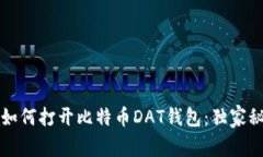 专家教你如何打开比特币