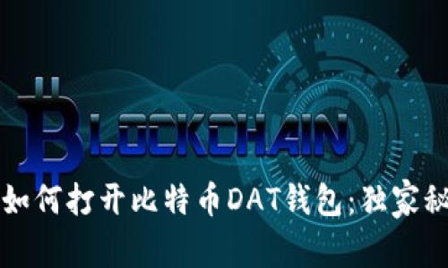 专家教你如何打开比特币DAT钱包：独家秘诀大揭秘
