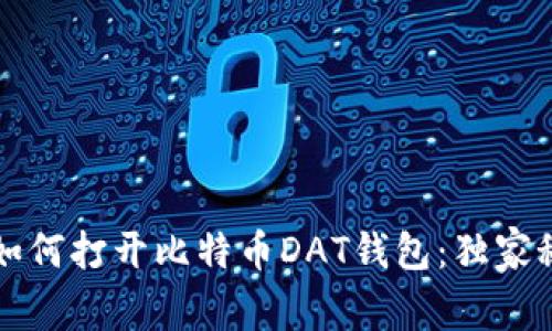 专家教你如何打开比特币DAT钱包：独家秘诀大揭秘