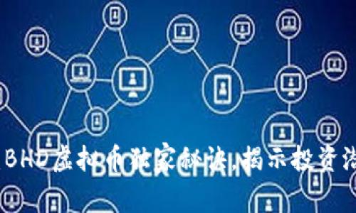 专家解读：BHD虚拟币独家秘诀，揭示投资潜力与风险