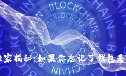 比特币钱包平台专家独家揭秘：如果你忘记了钱包是哪个平台，该如何找回？