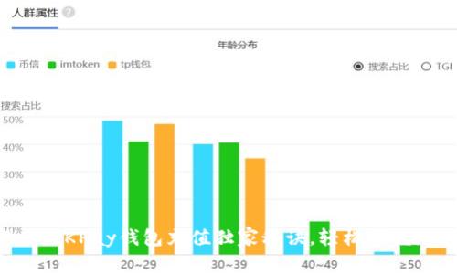 专家揭秘：OKPay钱包充值独家秘诀，轻松掌握充值技巧！