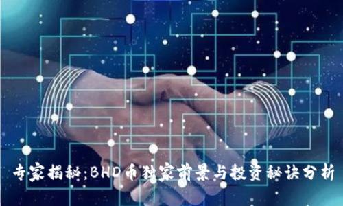 专家揭秘：BHD币独家前景与投资秘诀分析
