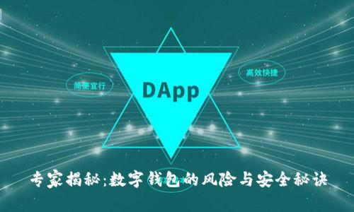 专家揭秘：数字钱包的风险与安全秘诀