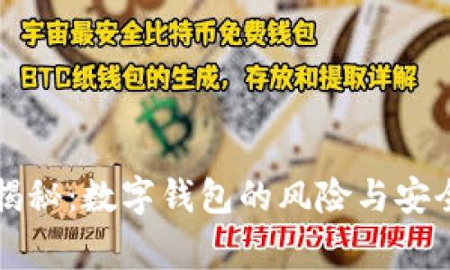专家揭秘：数字钱包的风险与安全秘诀