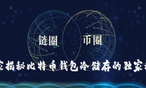 专家揭秘比特币钱包冷储存的独家秘诀
