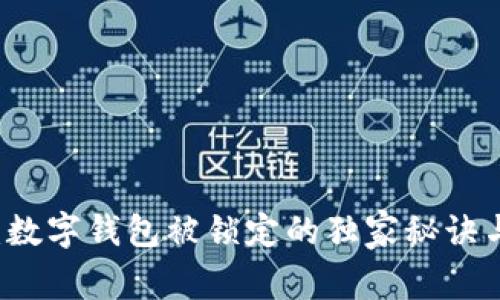 专家揭秘：数字钱包被锁定的独家秘诀与解决方法