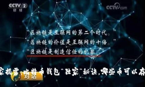 专家揭露：比特币钱包“独家”秘诀，哪些币可以存放？