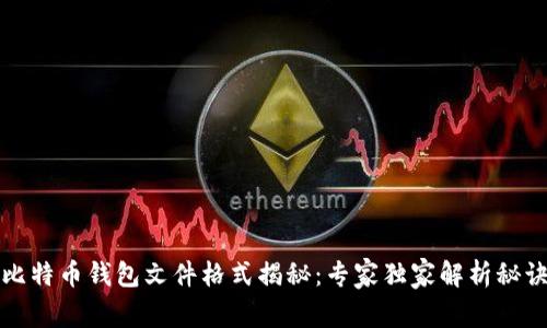 比特币钱包文件格式揭秘：专家独家解析秘诀