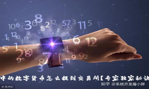冷钱包中的数字货币怎么提到交易所？专家独家秘诀大揭秘