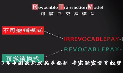 2023年币圈最新龙头币揭秘：专家独家分享投资秘诀