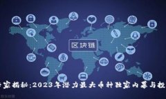 币圈专家揭秘：2023年潜力