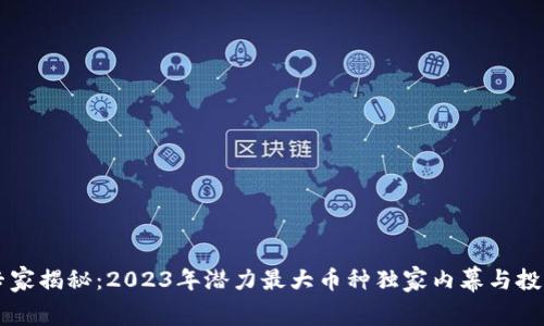 币圈专家揭秘：2023年潜力最大币种独家内幕与投资秘诀