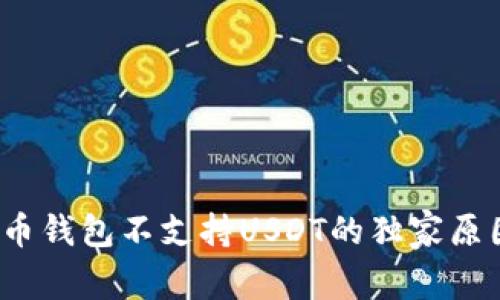 专家解读：火币钱包不支持USDT的独家原因与解决秘诀