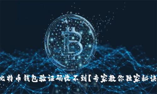 比特币钱包验证码收不到？专家教你独家秘诀！
