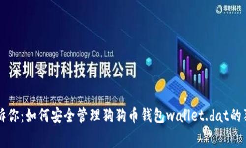 专家告诉你：如何安全管理狗狗币钱包wallet.dat的独家秘诀