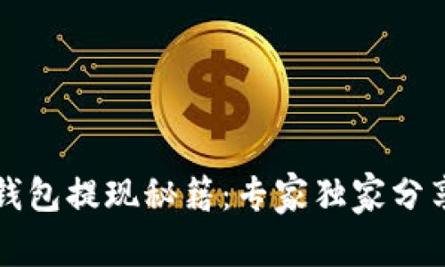 比特币快钱包提现秘籍：专家独家分享操作技巧