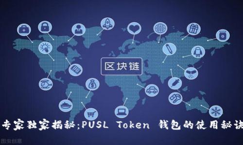 专家独家揭秘：PUSL Token 钱包的使用秘诀