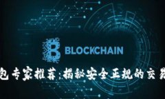 比特币钱包专家推荐：揭