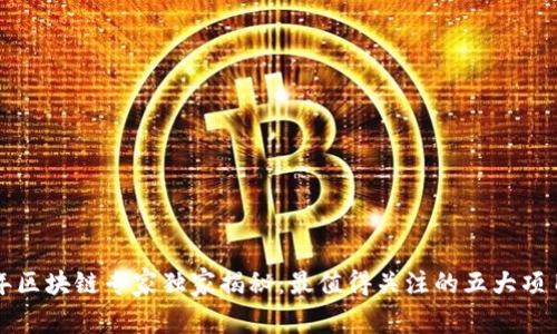 2023年区块链专家独家揭秘：最值得关注的五大项目秘诀！