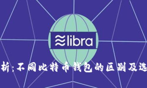 深入解析：不同比特币钱包的区别及选择指南