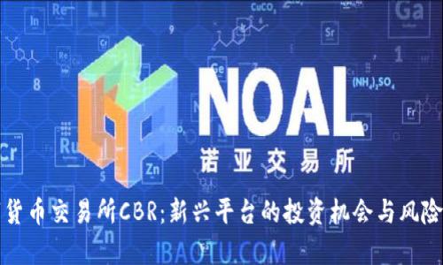数字货币交易所CBR：新兴平台的投资机会与风险解析
