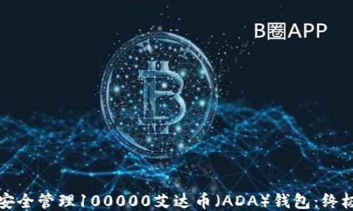 
如何安全管理100000艾达币（ADA）钱包：终极指南