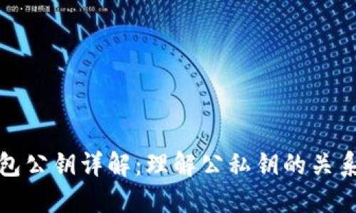 比特币钱包公钥详解：理解公私钥的关系与安全性