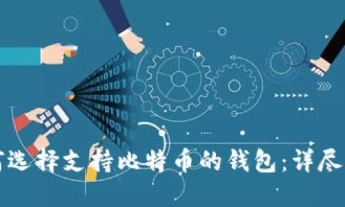 如何选择支持比特币的钱包：详尽指南