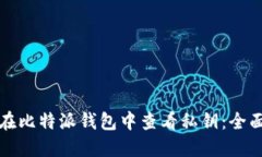 如何在比特派钱包中查看私钥：全面指南