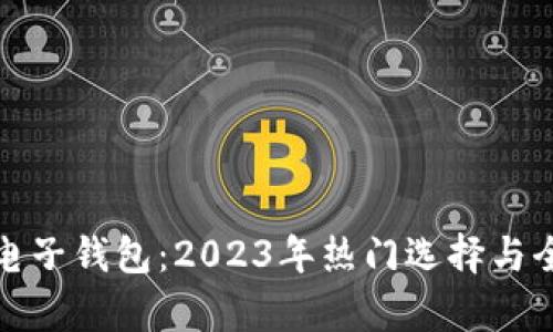 最好的电子钱包：2023年热门选择与全面解析