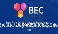 虚拟币FIT：加密时代的新