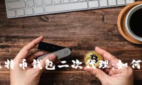 深入探讨比特币钱包二次代理：如何选择与使用