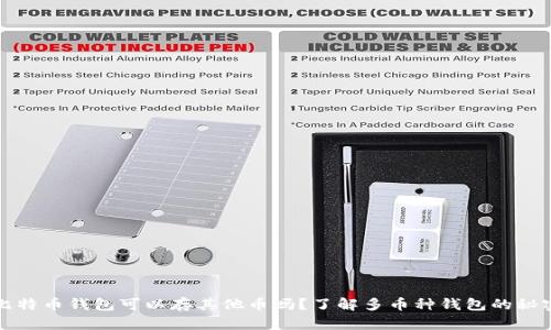 比特币钱包可以存其他币吗？了解多币种钱包的秘密