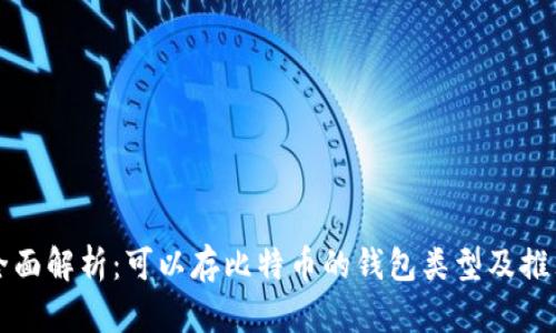 全面解析：可以存比特币的钱包类型及推荐