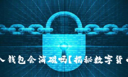 狗狗币放入钱包会消磁吗？揭秘数字货币存储真相