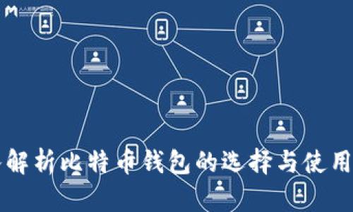 深入解析比特币钱包的选择与使用指南