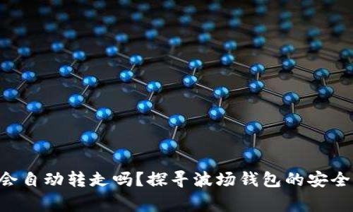 波场钱包里的TRX会自动转走吗？探寻波场钱包的安全性与使用注意事项